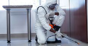 Office Cleaning Services near me